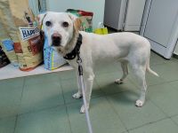 Patrick sucht seine Herzensmenschen❤️