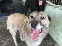 Pauli, freundlich und lieb