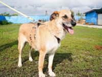 verkuschelte Marysia sucht ihren Heimathafen