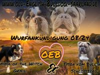 Kennel of the Witch Grail