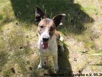 Jaro 50cm 2016 geboren