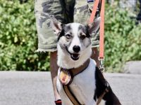 Unsere starke Kämpferin Salali