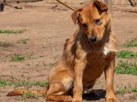 Swamp, aus mir kann noch etwas werden