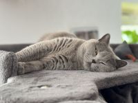 von Ottos Silberstadt