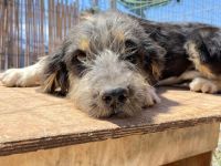 Wilma - Sonnenschein fürs Leben!