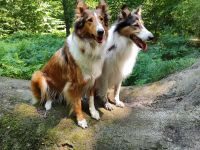 Von der Bockstedter Beeke