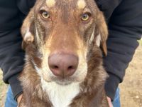 Kimbo, 01/23 - Rohdiamant sucht Feinschliff