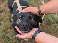 Dieter sucht sein Glück