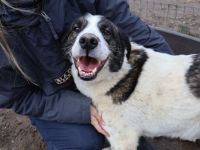 verschmuste CHARLINE wünscht sich eine Familie