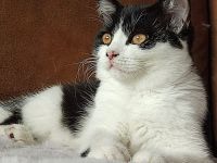 Unsere BKH Rasselbande hat ihre Köfferchen gepackt