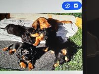 Von der Vehlefanzer Mühle