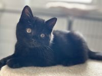 BkH Mädchen Schwarz