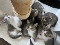 (geboren am 30. Juni 2024)