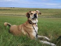 Polly sucht ihren sicheren Hafen