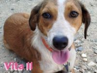 Vita II, 07/22 - würde so gern wieder an die Menschen glauben...