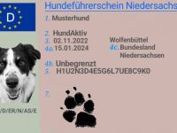 Hundehaltersachkunde Hundeführerschein