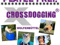 Crossdogging in Wolfenbüttel