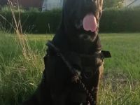 Ich suche einen für IMMER Platz