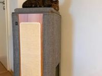 5 jähriger Bengale, Freigänger