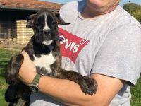 Ein herziges Geschwisterpärchen ist auf der Suche nach Traumplätzen