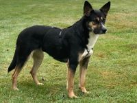 Alma, Powerfrau sucht sportliche Familie