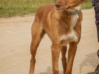 Merida sucht einfühlsame und verständnisvolle Menschen