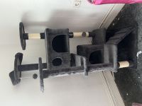 Babykatze „Nala“