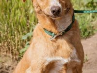 Ludwig, anfangs sehr schüchtern