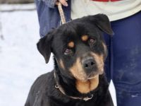 Einfühlsame & menschenbezoge Grete sucht Ihren Altersruhesitz