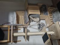 Ernamtlich pflegestelle für kleine-Zwerge Katzen