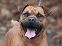 Fritzi - sucht aktive Menschen