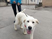 Hallo, ich bin Annabelle!