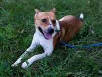 Hallo! Ich bin Myko!