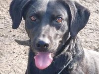 Bob wartet schon so lange