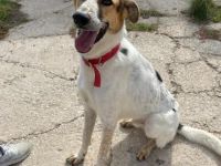 Schaut euch Max an !