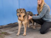 Schenkst du Mani ein warmes Für-Immer-Körbchen