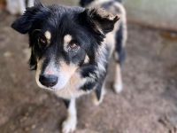 Einstein, lieb und freundlich