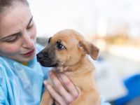 Kämpferin Amara sucht Dich!