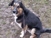 Goofy möchte endlich ankommen