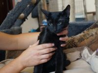 Der charmante Toby ist bereit für sein neues Zuhause!