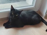 Der charmante Toby ist bereit für sein neues Zuhause!