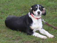 Luna - wo wartet meine Familie?