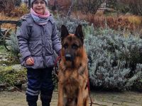 Zwinger von Lacroz.de