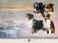 Wurfplanung Mai / Juni 2025