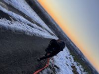 Metis Labrador aus Rumänien