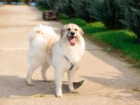 Shine möchte dein Leben erhellen