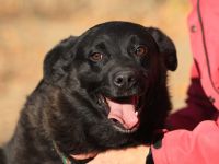 Bobby - ist ein toller Kerl