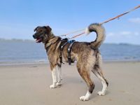 Bria möchte endlich ankommen