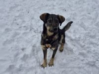 Matteo wartet auf seine Familie