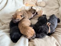 from Wrinkle Soul